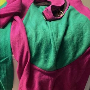 Barney costume